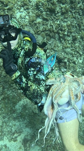 109K views · 978 reactions | How We Hunt for Hawaii's Best Seafood! #spearfishing #fishing | Ryan Myers Spearfishing | Facebook