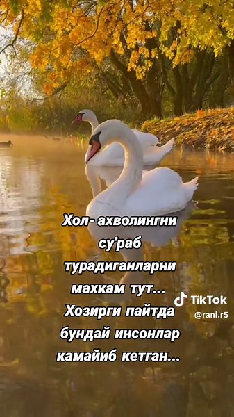 Соғыс табын ұйрену