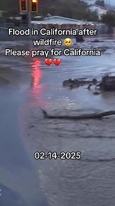 240K views · 2.5K reactions | How to Prevent Wildfires in California?...