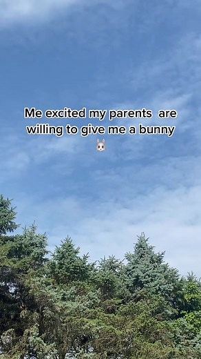 But I do have something explaining something blah blah blah #bunny #petbunny #rabbit