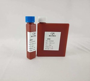 [Hot Item] Point-of-Care Apolipoprotein B Test Kit for Serum Analysis