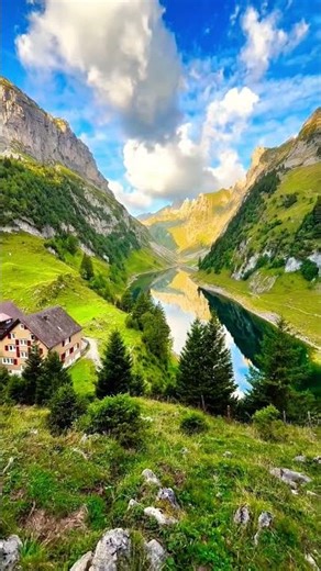 Zen Meditation: 432Hz Deep Healing Flute Music 🌿 #Shorts #Meditation #Nature #432Hz