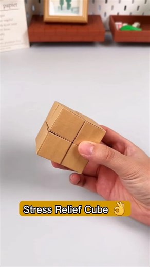 Paper Craft Ideas on Instagram: "Turn a simple stack of paper into the ultimate stress-buster! This origami fidget cube flips endlessly, letting you open, fold, and flip it again for instant relaxation. It’s lightweight, pocket-friendly, and keeps your hands busy — perfect for study breaks, work stress, or just passing the time. #origami #experiment #papercraft #diy #stressrelief"