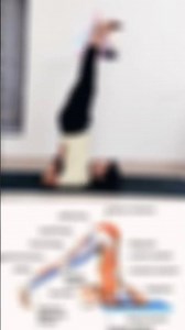 Halasana (Plow Pose) – Steps and Benefits for Better Health #yoga #yogapose #halasana #plowpose