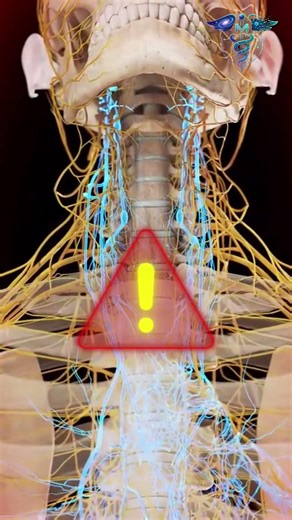 Inside Your Body Right Now 😳 | 3D Medical Animation #shorts