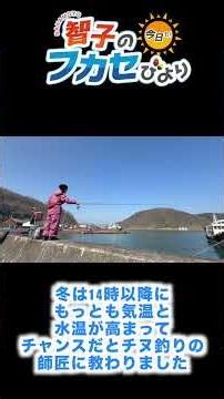 [You should try catching this] Will you be able to catch the finest black porgy?