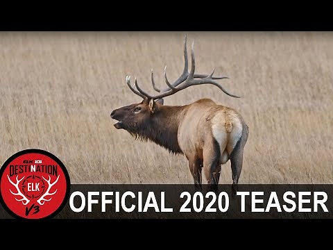 Elk101.com's Destination Elk V3 - 2020 Official Teaser!