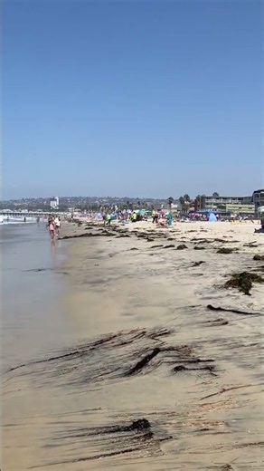 Pacific Beach San Diego Surf & Ocean Waves #PacificBeach #SanDiego