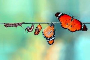 GST Transformation - The Road Ahead