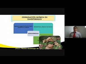 BIOLOGÍA 3° COORDINACIÓN QUÍMICA EN INVERTEBRADOS