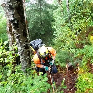 Découvrez notre programmation d'hiver! | Canal D