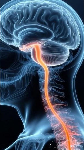 Inside ALS: How Motor Neurons Degenerate & Muscles Atrophy | Medical Animation Explained.#medical
