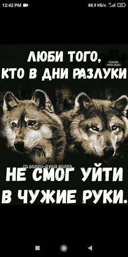 Wolves Howling in the Forest: A Grayscale Portrait