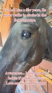 Prolonged use of stables can cause horrific habits He used to walk round in round in circles from being locked in a stable for so long, thanks to his new owners he gets to live a free life with a herd. video courtesy of https://www.tiktok.com/@crazy4ponytails?_t=8bhnONYJhYA&_r=1 #horses #naturallivery #paddockparadise #equinerehab | Gawsworth Track Livery