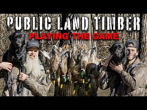 Public land Duck Hunting - PLAYING THE HAND YOU'RE DEALT | DrDuck