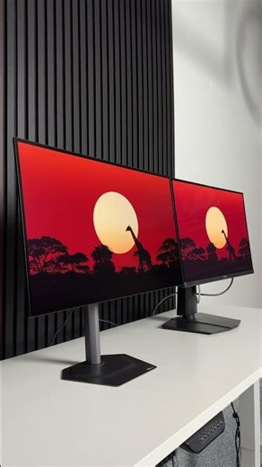 LG WOLED vs QD OLED (Gigabyte 4th Gen)