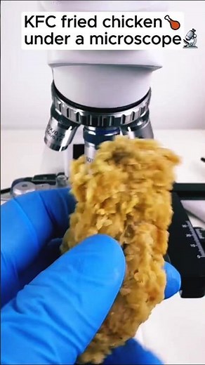 KFC 🍗 chicken under a microscope #lab #science #food #chicken#microscopic #zooming