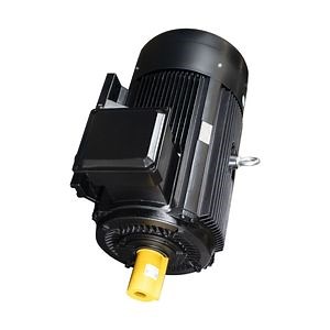 [Hot Item] Yvf2-180L-6 15kw Small Power Low Voltage Asynchronous AC Electric Motor