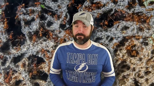 25 amazing science facts that are weird, wild, and true