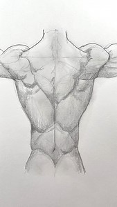 Draw back muscles 💪 Easy drawing lesson for how to draw back muscles. #drawinglesson #drawing | Mark Liam Smith