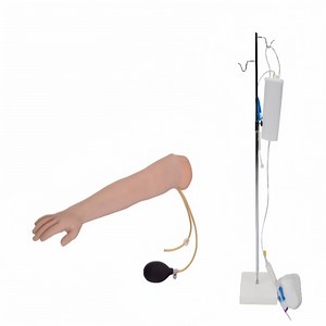 [Hot Item] Advanced Arm Arterial Puncture and Intramuscular Injection Training Model
