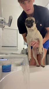 Aydon Holley on Instagram: "Best way to bathe your dog😂"