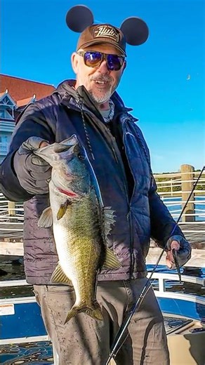 Big Bass Inside Disney World!?