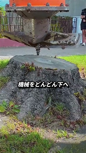 切り株を鉛筆みたいに削って消す機械
