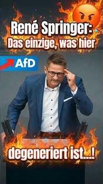 🔥Springer in Bestform - Wenn hier was degeneriert ist,...😡‼️#renespringer #afd #friedrichmerz