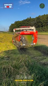 Did you know that rice harvesting machines are revolutionizing agriculture around the world? These innovative machines help farmers efficiently harvest vast fields of rice, saving time and labor. By automating the process, they ensure a quicker and more precise harvest, leading to increased yields and improved productivity. With advanced technology and engineering, these machines have become essential tools for modern farming practices. Embracing such innovations not only benefits farmers but al