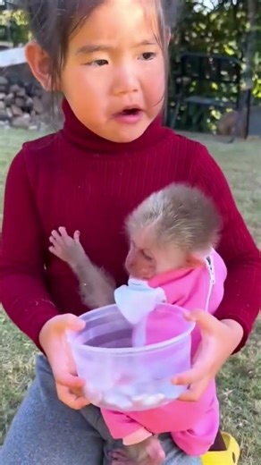 Duniya Ka Sabse Pyara Monkey! 🐒 Cute Baby Monkey Eating & Playing | #Shorts #Viral