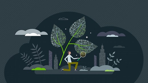 Biomimicry: 7 cases where human design was inspired by nature