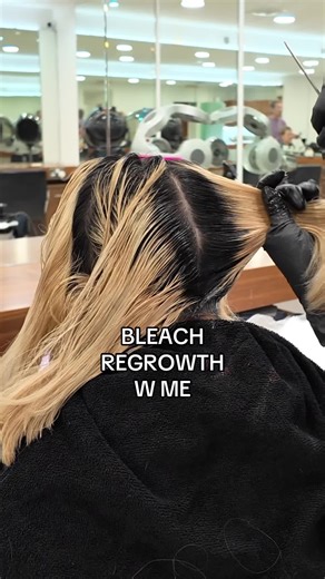 Full Scalp Bleach Transformation Guide