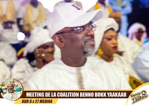 Photos. Revivez En Images Le Meeting De Clôture De Cheikh Ba