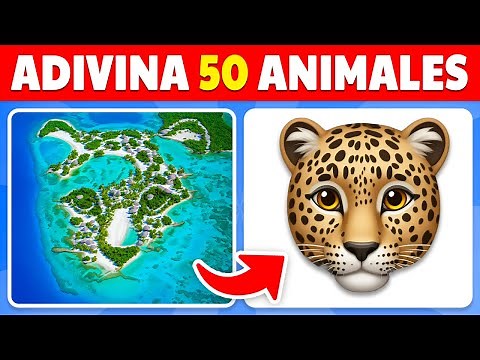 Guess 50 Animals Hidden in These Illusions 🐶🐵🦁 EASY to IMPOSSIBLE