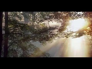 Joseph Smith and His first Vision of God