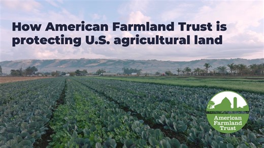 Our research suggests that we’re losing 2,000 acres of farm and ranch land a day in the U.S. to development or other uses that jeopardize farming. The tools to protect farmland exist. But they are not being applied as aggressively as needed to prevent the alarming loss of this irreplaceable resource. Learn more about how we're working to protect our nation's agricultural land: https://bit.ly/3UkMKZ6. | American Farmland Trust