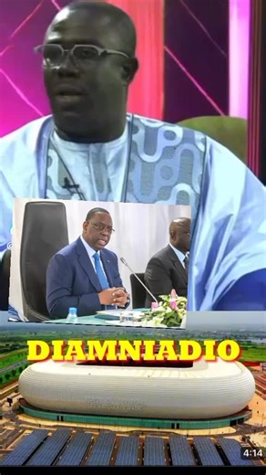 Insights on Diaminaid: A Professional Discussion