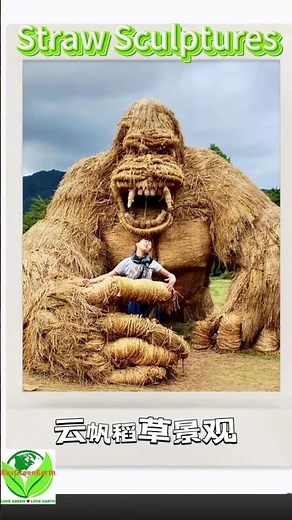 Incredible Straw Sculptures Magic 🌾