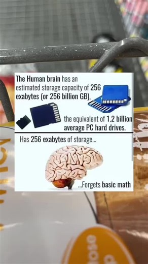 Duckychulo on TikTok