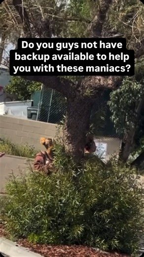 I don’t even know what I’m watching here. Maybe someone can help me understand. Too 3 comments win t shirts from us. | Street Cop Training