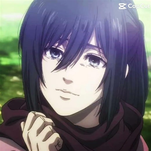 TOP 5 AOT CHARACTERS