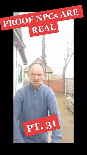 NPC tries to fight player #npcsarereal #npc