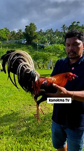 Bicol Golden Crown, 5k Sweater Dink Fair | Demile Canlas