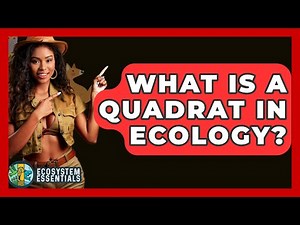 What Is A Quadrat In Ecology? - Ecosystem Essentials