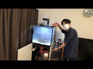 REEFER G2! Fully equipped high spec aquarium installation!