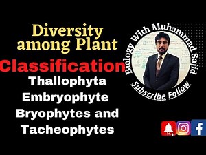 Classification Diversity among Plant Kingdom Plantae Introduction Characteristics Fsc Bs Students
