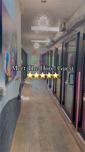 2.4K views · 148 reactions | Welcome to our 5-star animal shelter,...