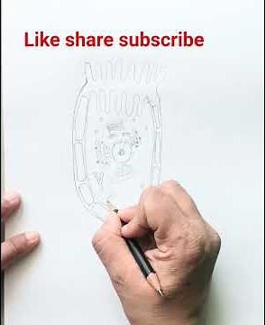 How to draw Animal cell