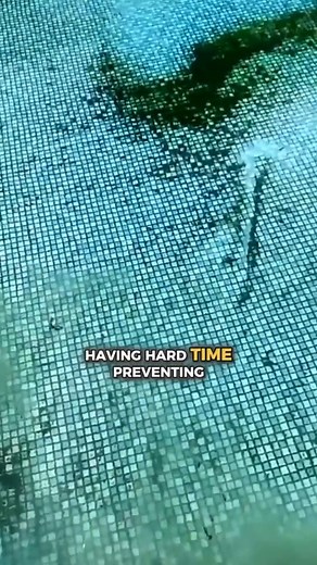 Struggling with persistent pool algae? Tired of excessive chlorine use? Discover Spark Pool Conditioner for cleaner water with fewer chemicals. #poolcare #AlgaeSolution #poolalgaeproblems #poolalgaesolution #sparkpoolconditioner | Innovative Water Solutions Inc